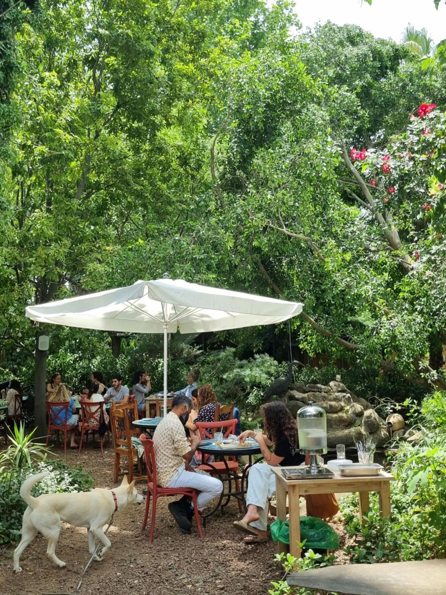 Vitrage Holiday Village And Spa Bet Hillel Exterior foto